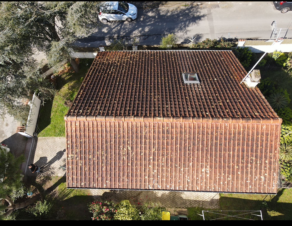 TRAITEMENT DE TOITURE PORNICHET