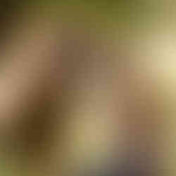 Sheldon getting snuggles from his mom.