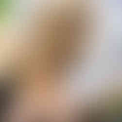 Sheldon getting snuggles from his mom.