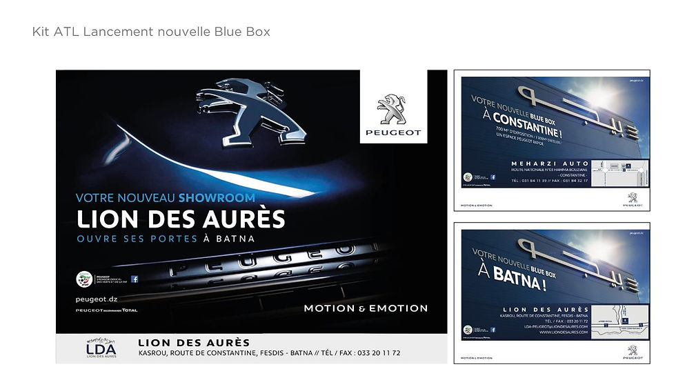 Peugeot - Plateforme de com Ouverture Succursales