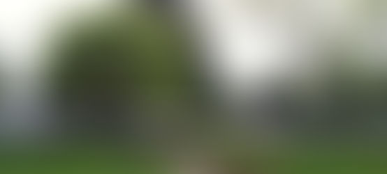 What's Happening at the Market -    Thursday, May 1st, Edition