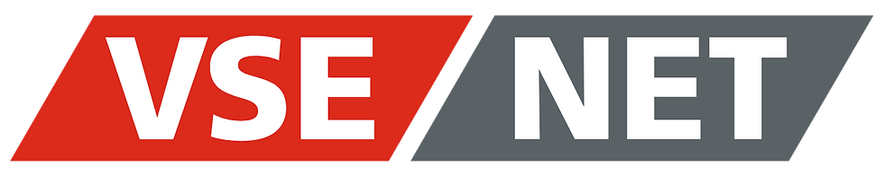 VSE NET Logo