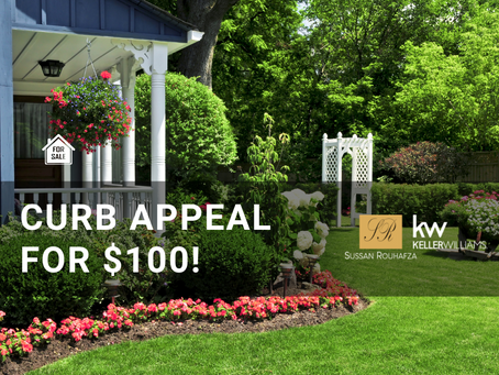 Curb Appeal Ideas for $100!