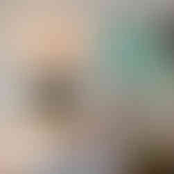 A living room staged by the Laura Wucher Real Estate Team