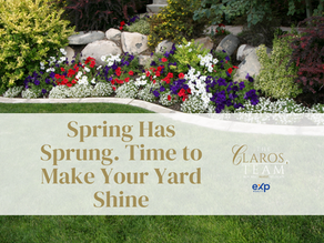 Spring has Sprung. Time to Make Your Yard Shine!