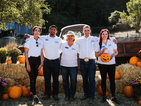 'Tis the Season for Pumpkin-ing! Check Out These Great Sonoma County Pumpkin Patches