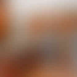 7917 Bristol Rd kitchen