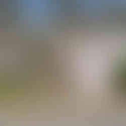 8629 240th Street SW #C3 exterior of townhome