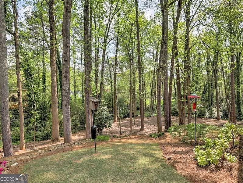 2452 Old Forge Ct, Marietta backyard