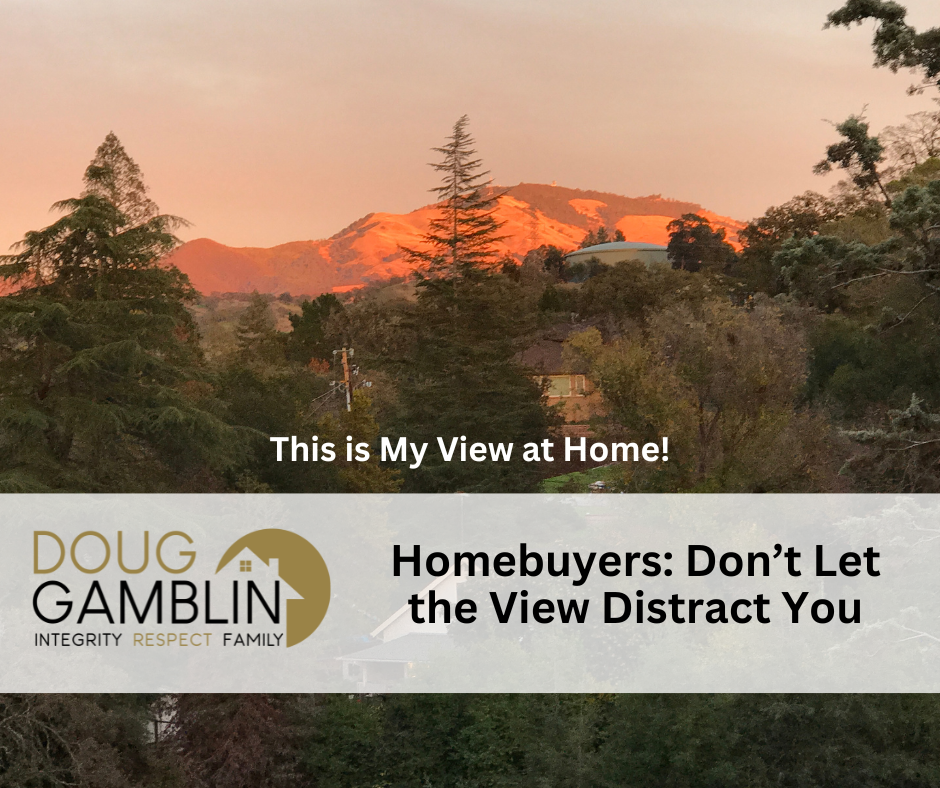 Don’t Let the View Distract You: Seeing the Whole Picture