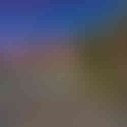 7917 Bristol Rd backyard