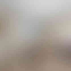 7917 Bristol Rd bedroom