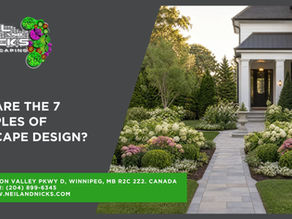 7 Principles of Landscape Design
