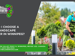 How Do I Choose a Good Landscape Designer in Winnipeg?