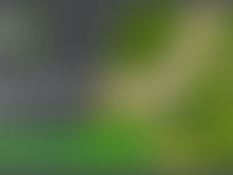 What is the Best Time of Year to Landscape in Winnipeg?