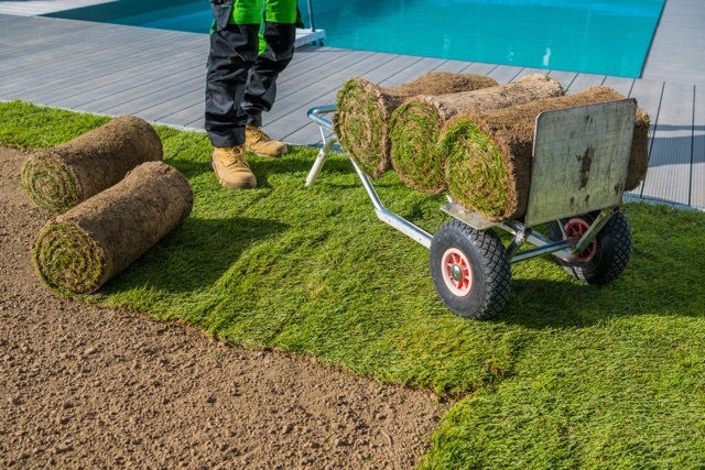 How Much is Sod Per Square Foot in Winnipeg