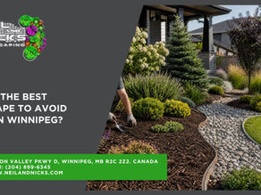 the Best Landscape to Avoid Weeds in Winnipeg