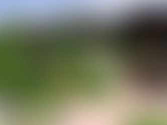 How to Landscape on a Tight Budget in Winnipeg?