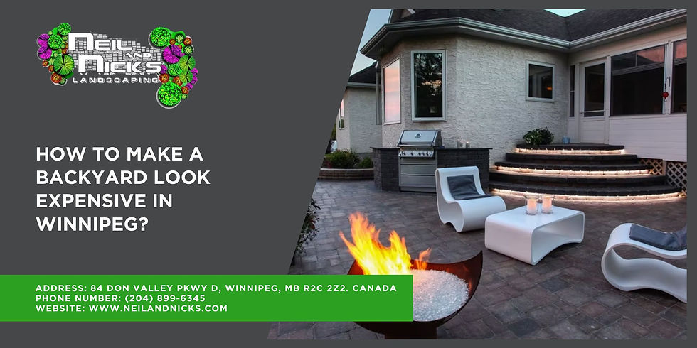 How to Make a Backyard Look Expensive in Winnipeg?