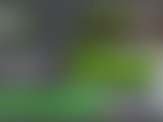 What is the Least Expensive Way to Pave a Walkway?