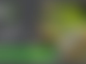 how many landscaping quotes