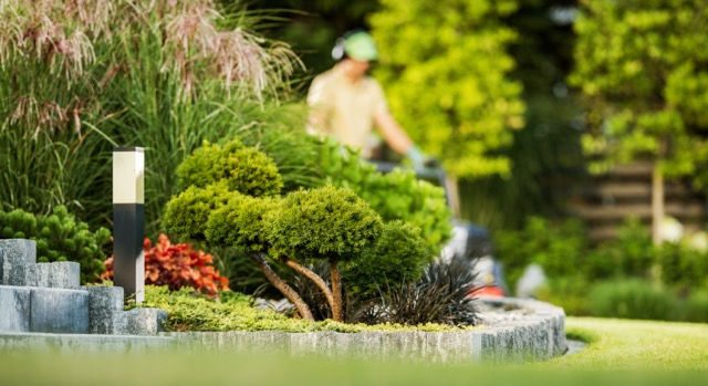 How Much Does It Cost to Landscape in Winnipeg