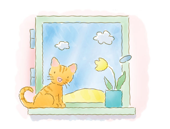 Illustrator + Photoshop