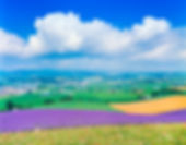 AdobeStock_457058767.jpeg