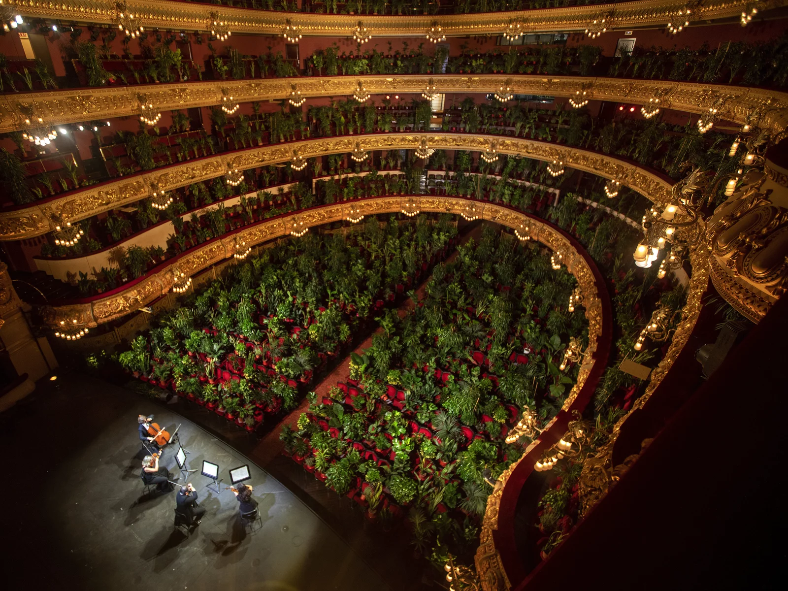 The Gran Teatre del Liceu in Barcelona filled its nearly 2,300 seats with plants NPR