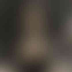 Gabija Birina at MDC Wolfson Campus