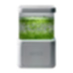 BEST FINAL DPSD-white copy.jpg