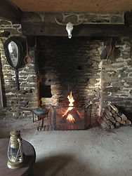 IMG_2324.jpeg