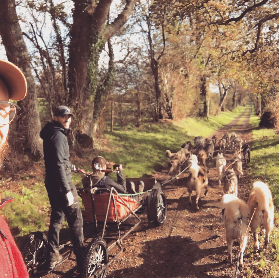 366316A0-A128-4649-9F72-1C78C578E3D0