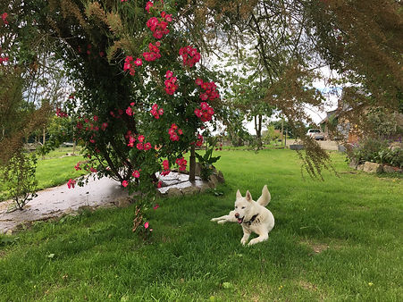 IMG_0048.jpeg