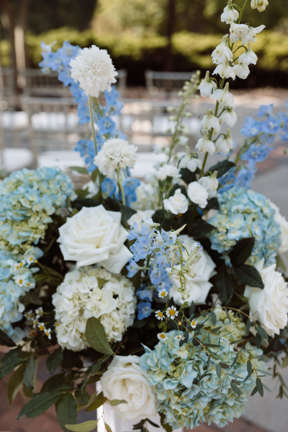 oliviarodriguezphotos-425