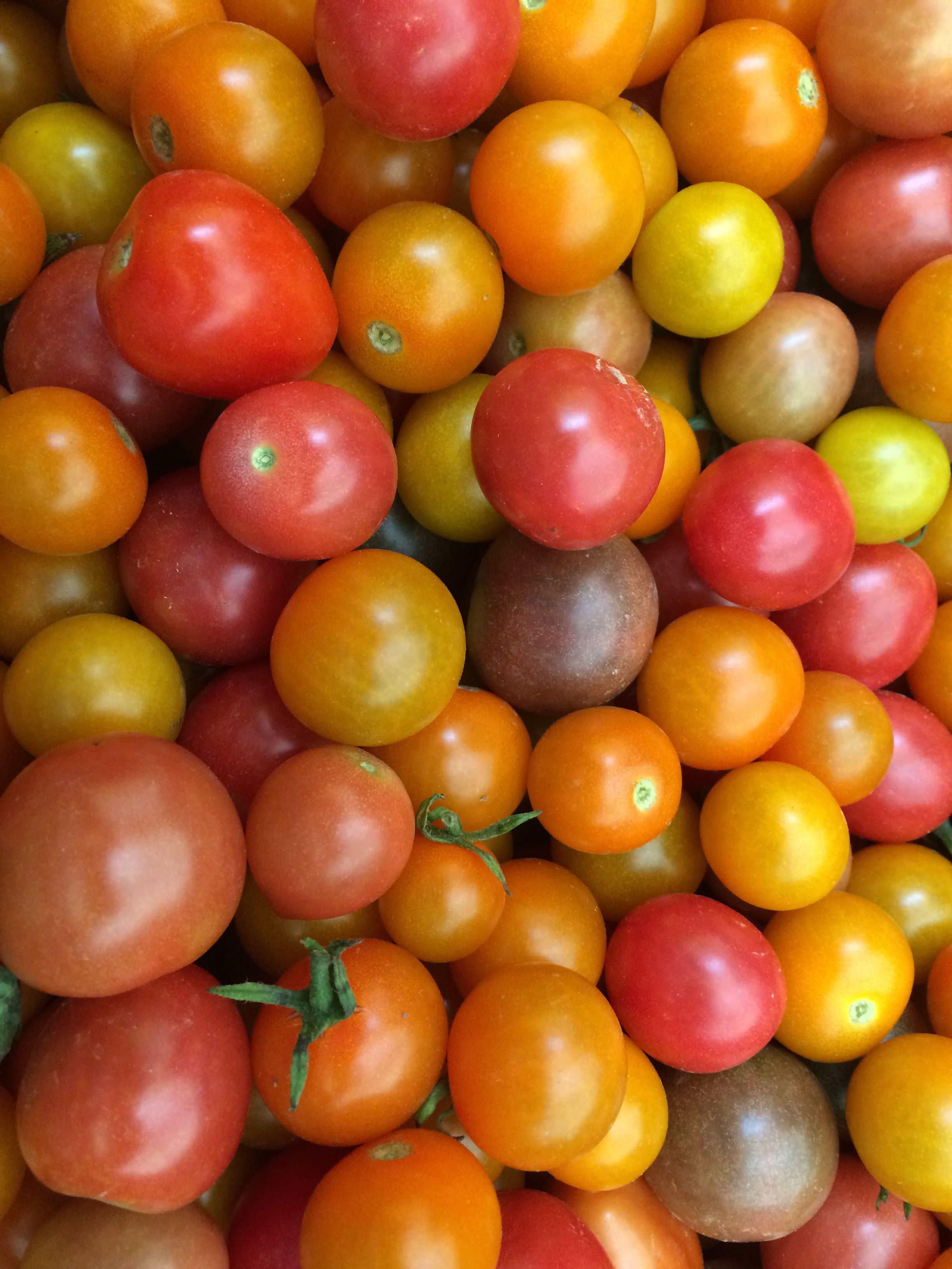 PA Small Share Bi weekly