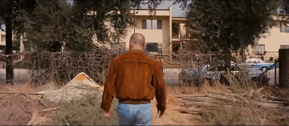 SilentSociableJabiru-size_restricted.gif