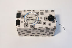 Public Privacy - Ginger Burrell