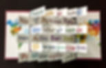 Holiday Book Samples for SDBA (4 of 5).j