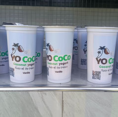 Yo coco value chain yoghurts