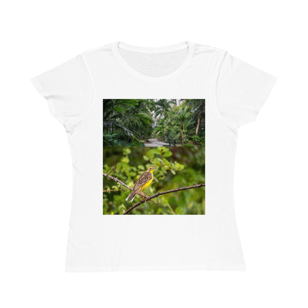 Organic Women's Classic T-Shirt