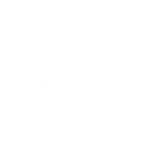 logo_white_transparent.png