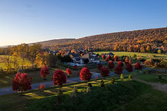 Autumn_1_WEB.jpg