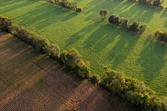 BoilingSpringsFarm_1_WEB.jpg