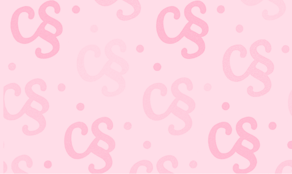 New CSS Logo & Brand (2)_edited_edited_edited.png