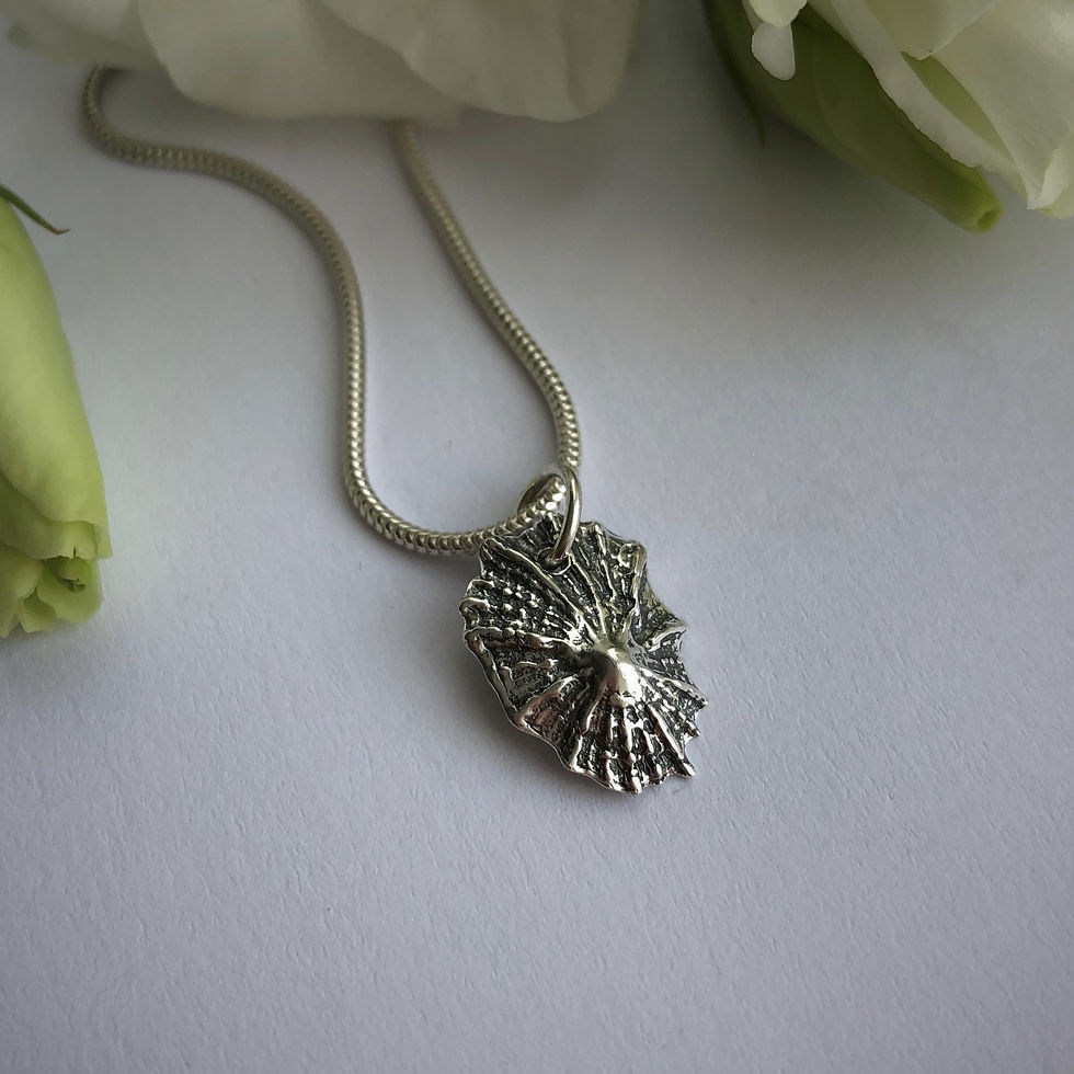 Thumbnail: Limpet Shell Pendant
