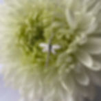 Thumbnail: Dragonfly Pendant