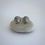 Thumbnail: Cockle Shell Studs