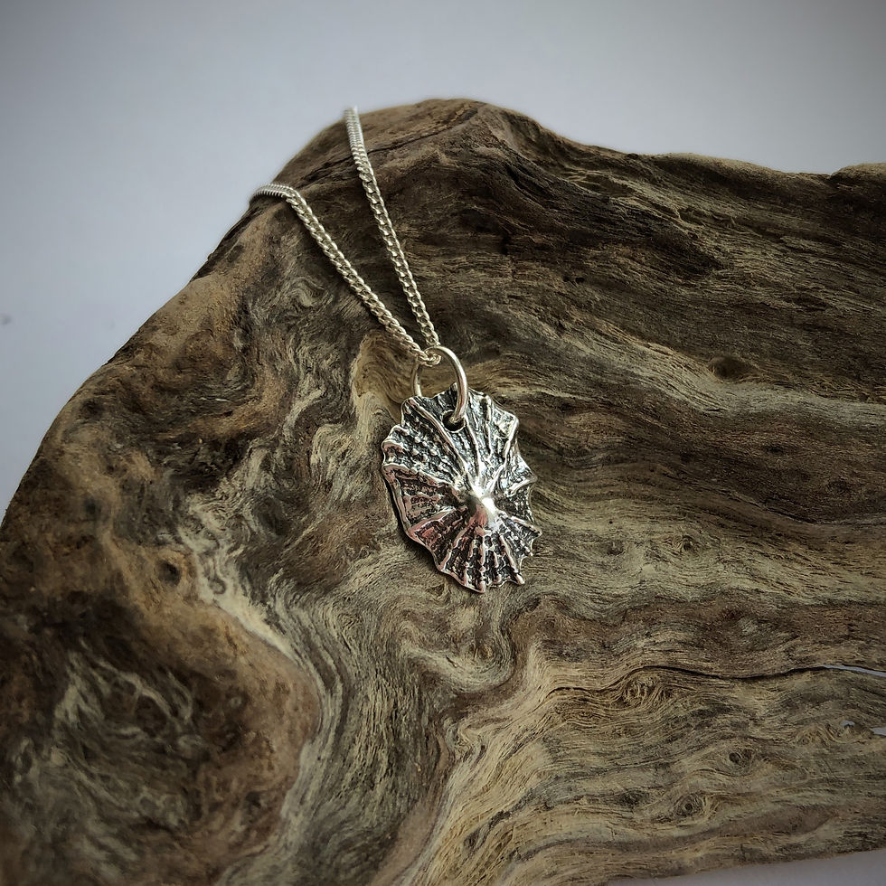 Thumbnail: Limpet Shell Pendant