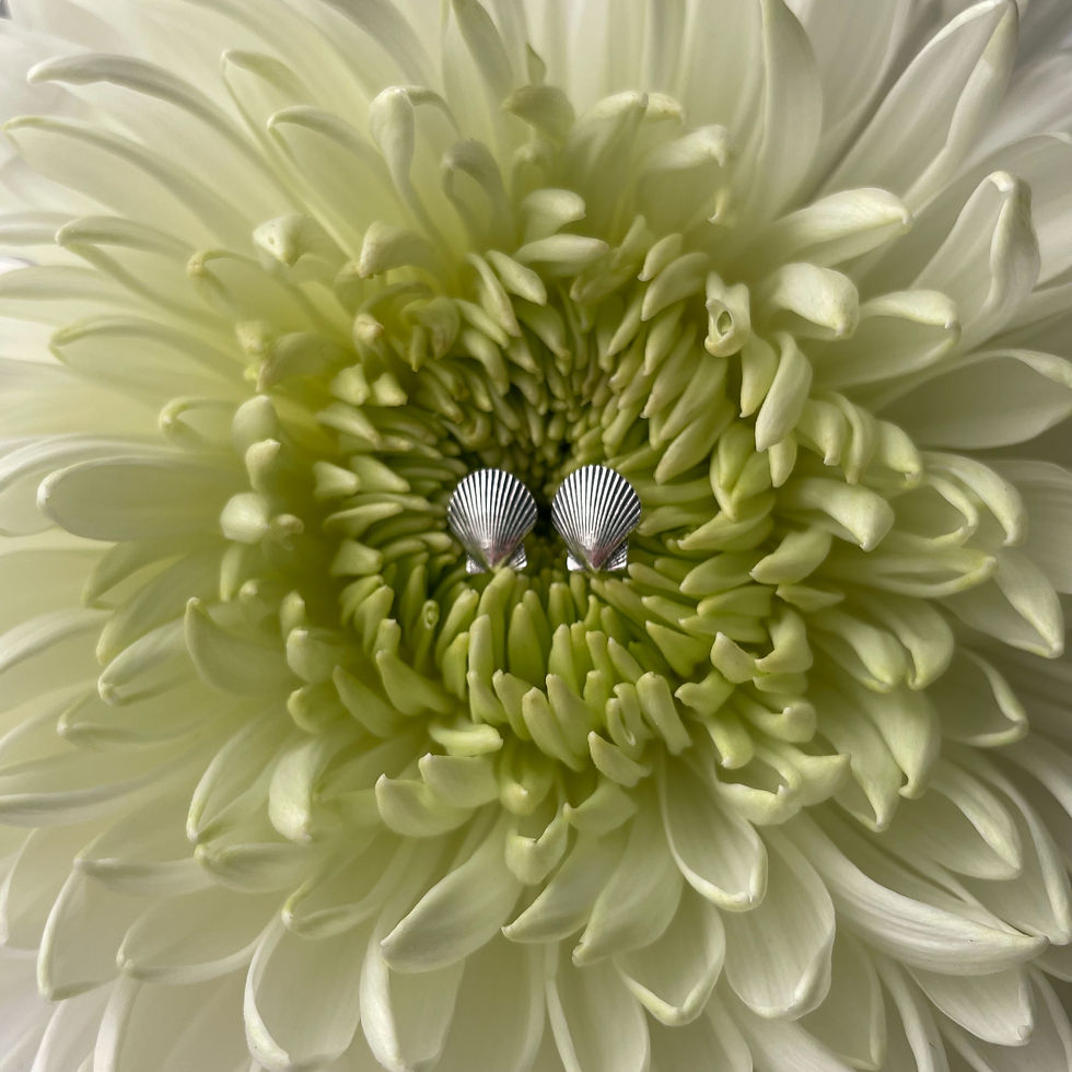 Thumbnail: Scallop Shell Stud Earrings